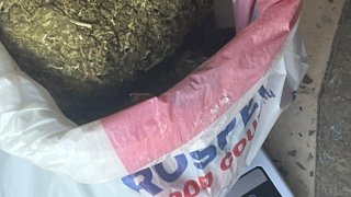 Կոտայքի մարզի բնակիչը կալանավորվել է՝ շուրջ 850 գրամ քաշով «Մարիխուանա» և մի քանի տեսակի սինթետիկ թմրամիջոցների ապօրինի շրջանառության մեղադրանքով (լուսանկարներ)